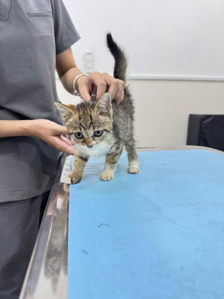 490183258_1085312140298115_4179816579872239720_n